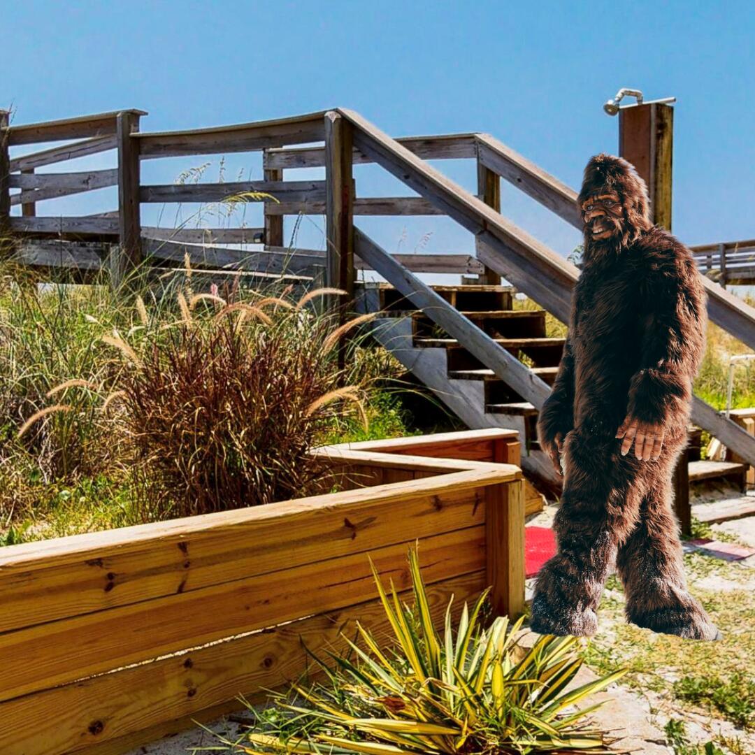 ISLAND SANDS CONDO - Residential