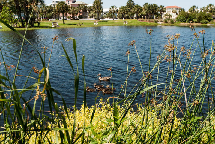 DESTIN POINTE - Residential