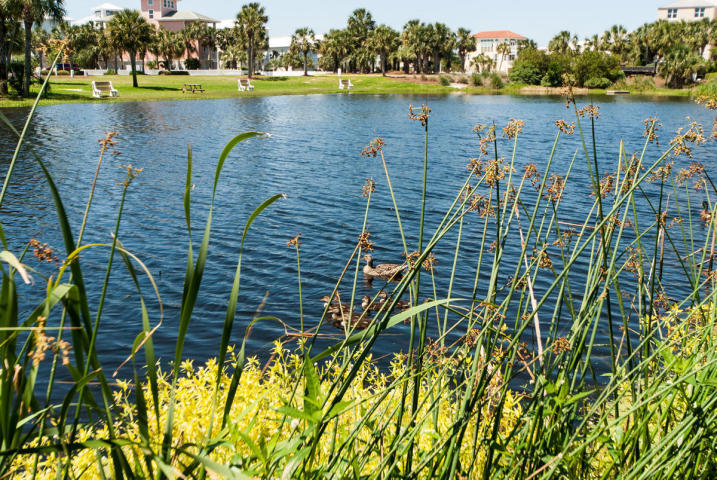 DESTIN POINTE - Residential