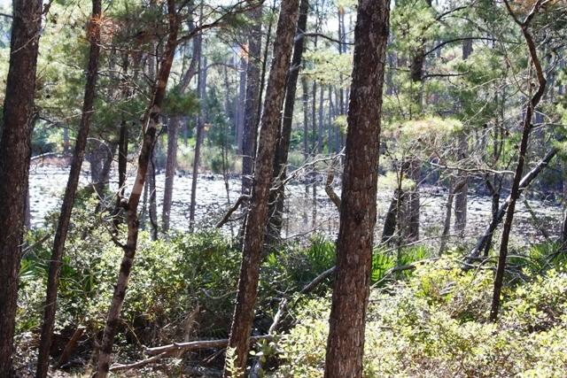 LAKESIDE AT BLUE MOUNTAIN BEACH - Land