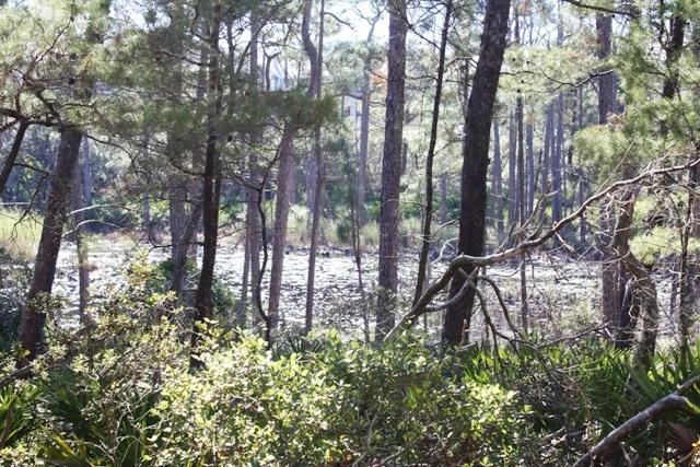 LAKESIDE AT BLUE MOUNTAIN BEACH - Land