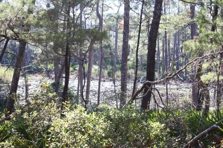 VERY LARGE ''WATER FRONT'' LOT LOCATED IN THE GATED COMMUNITY OF LAKESIDE AT BLUE MT BEACH.THE SIZE OF THIS LOT WILL ACCOMIDATE A NICE POOL FOR YOUR PRIVATE RESIDENCE. CALL TODAY !