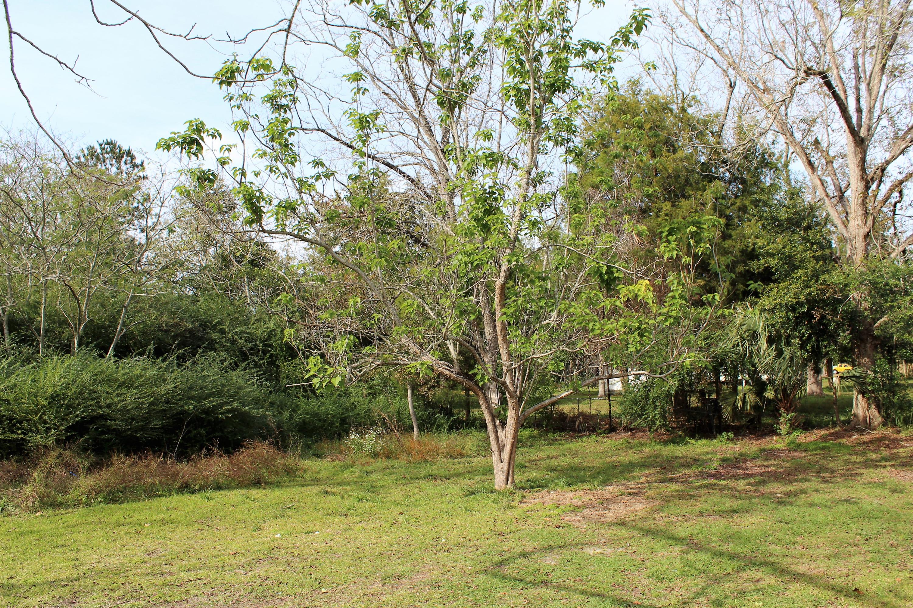 NONESUCH WAY - Residential