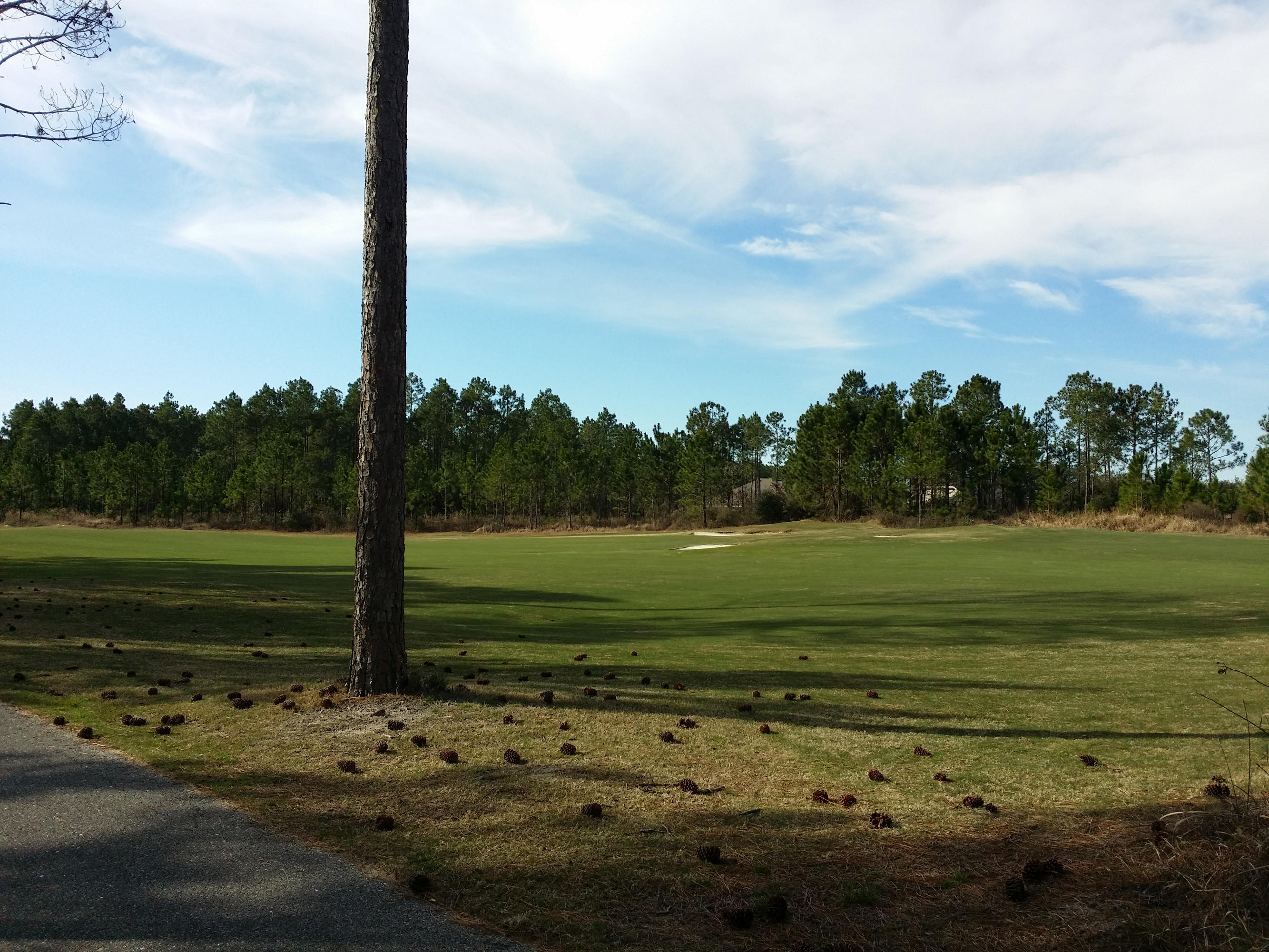 WINDSWEPT ESTATES - Residential