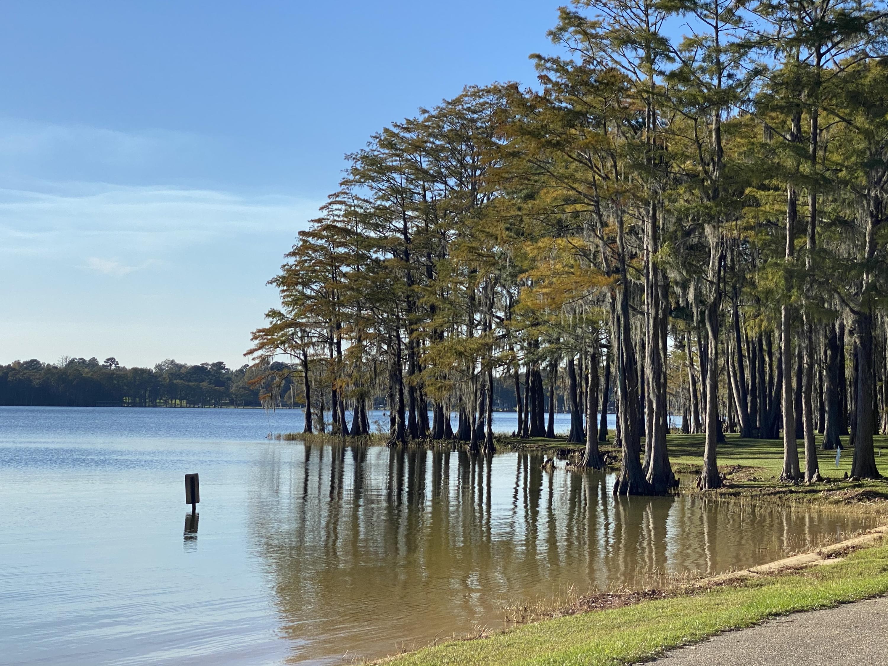 Jackson Shores - Land