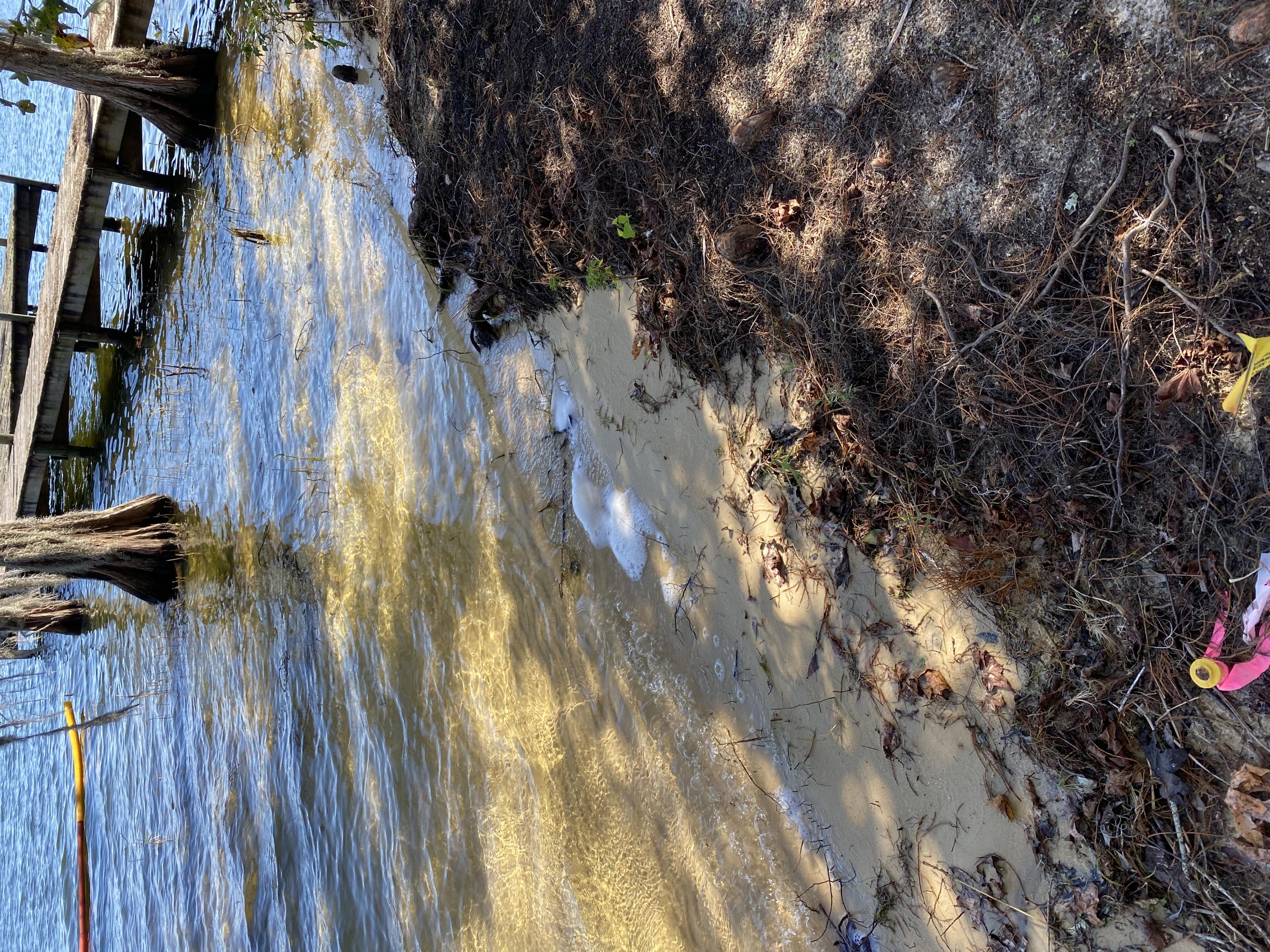 Jackson Shores - Land