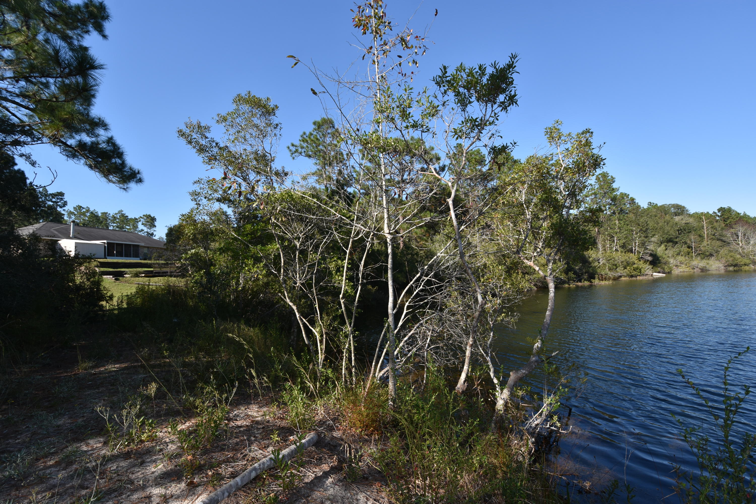 NORTHLAKES S/D PH 1 - Residential