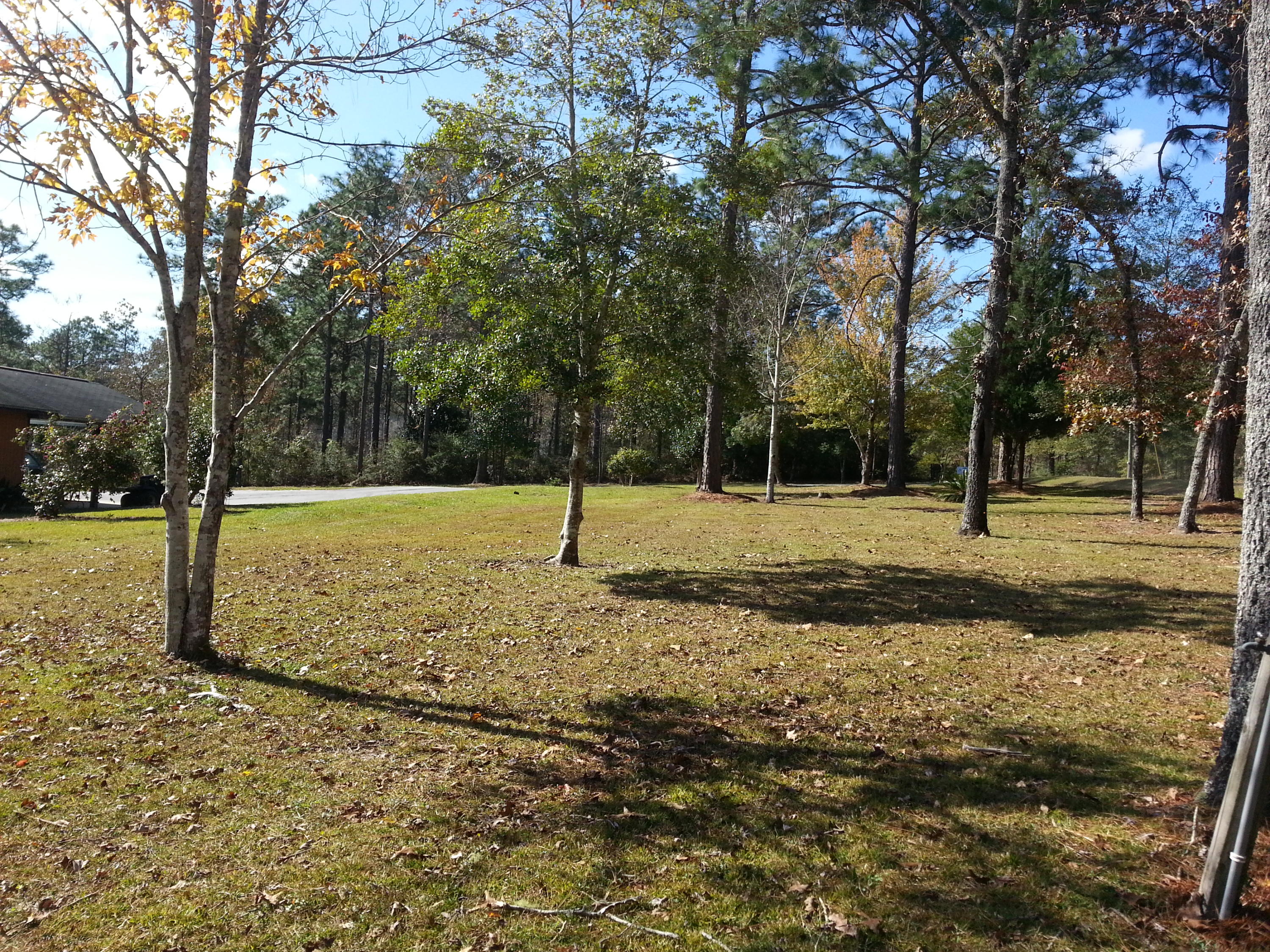 SPRING LAKE ESTATES - Residential