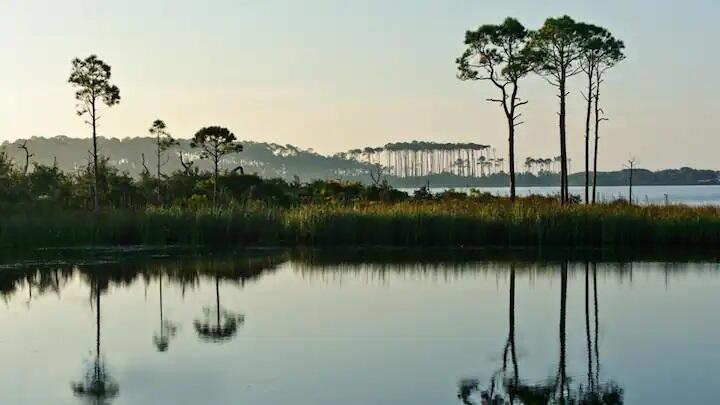 VILLAGE OF SOUTH WALTON BEACH THE - Residential