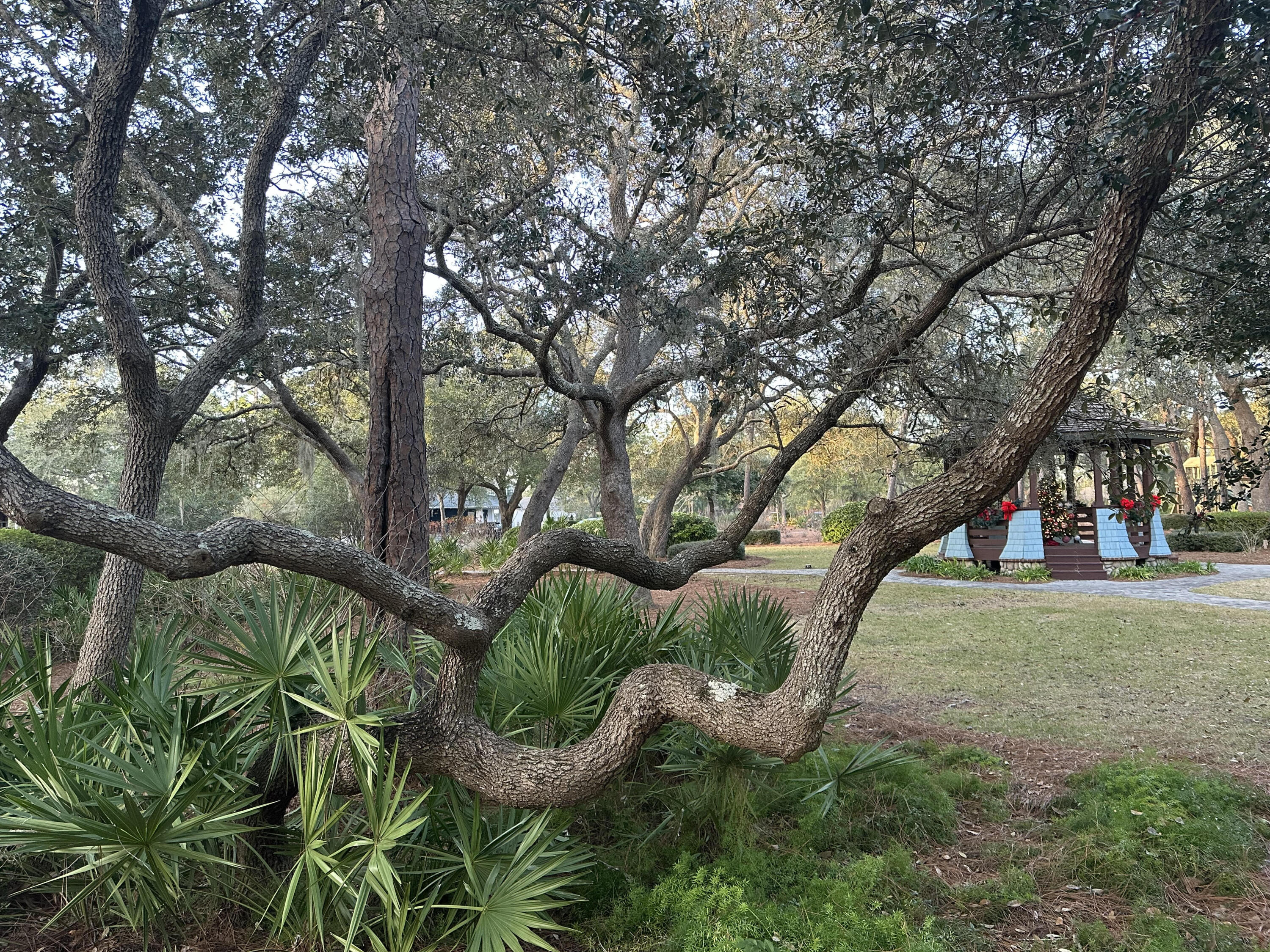 WILD HERON - CLUBSIDE - Residential