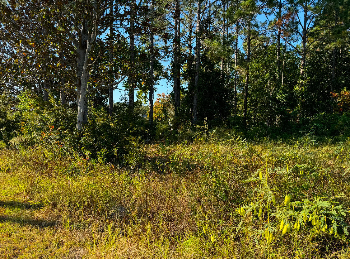 This prime waterfront property in Santa Rosa Beach is cleared and ready to build your dream home. Located less than 5 miles from the Gulf of Mexico and just minutes from boat access, it offers the perfect combination of serene waterfront living and convenient proximity to the area's best beaches and outdoor activities. With breathtaking views and easy access to boating, fishing, and coastal recreation, this lot is ideal for building a custom home in one of the Gulf Coast's most desirable locations. Whether you're looking to create a personal getaway or an investment property, this rare opportunity won't last long!