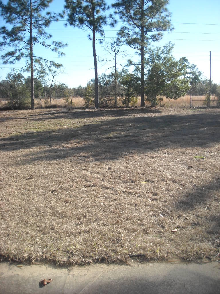 SHOAL WOOD ESTATES 1ST PH 2 - Residential Lease