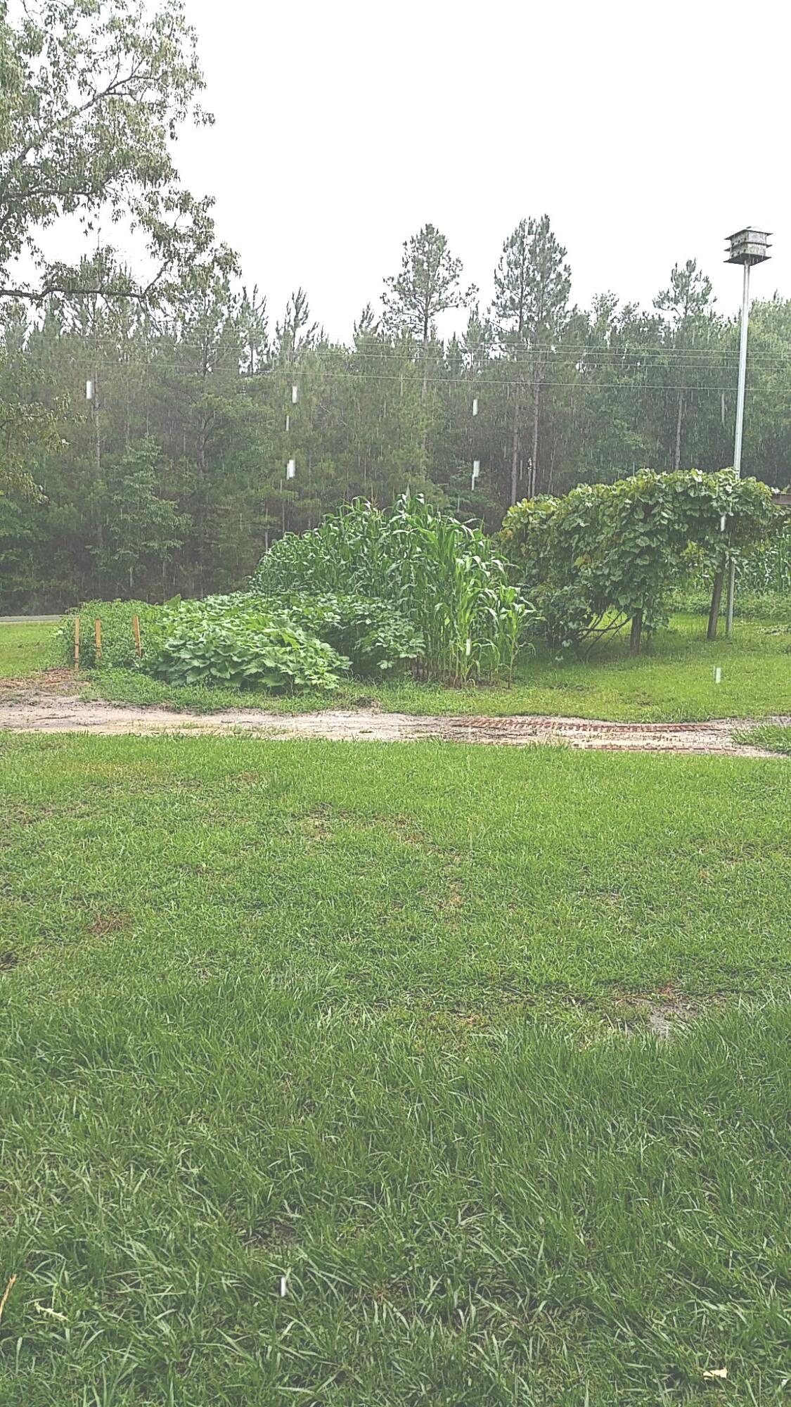 Four Flags Estates unrecorded S/D - Residential