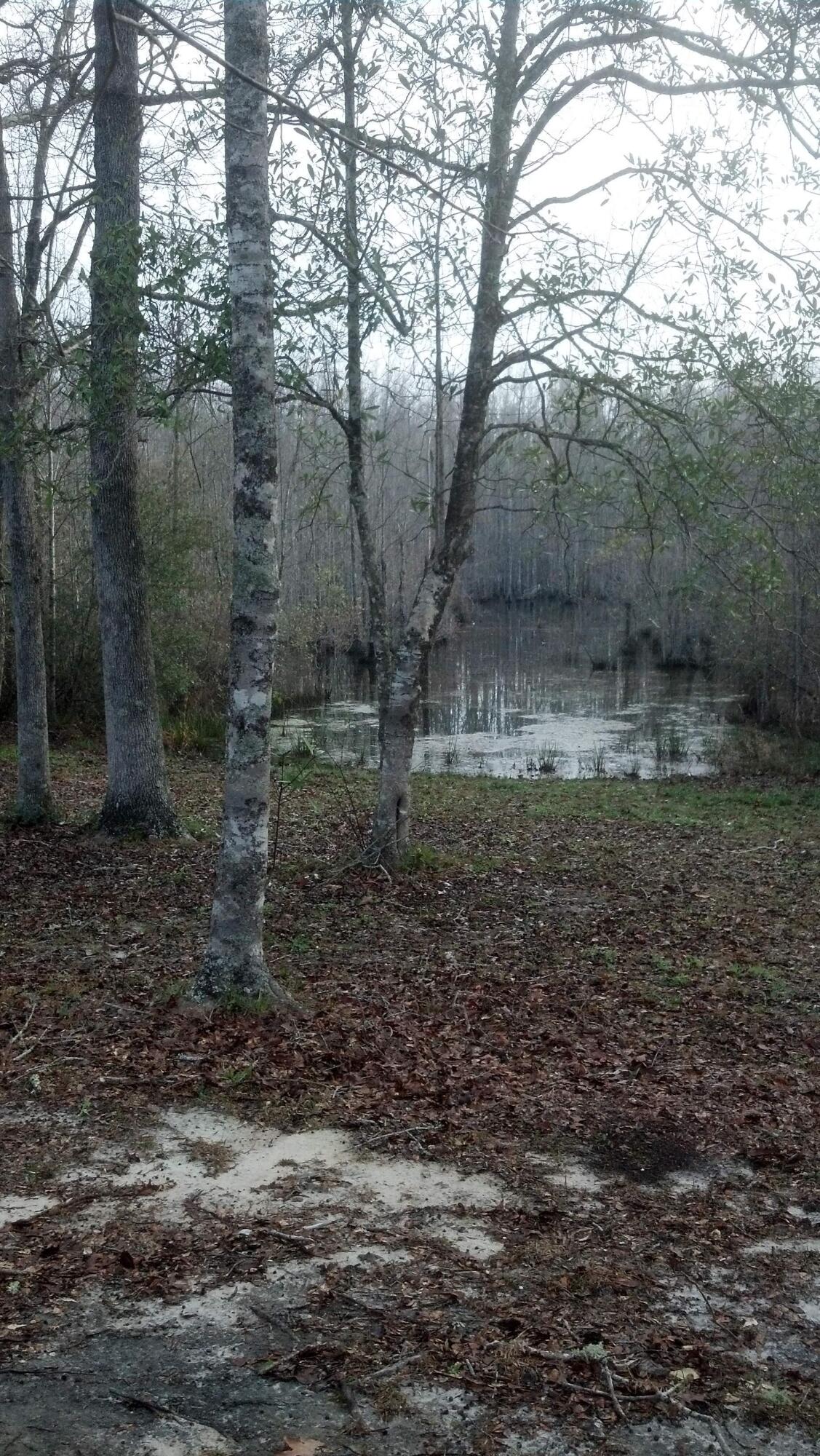 Four Flags Estates unrecorded S/D - Residential