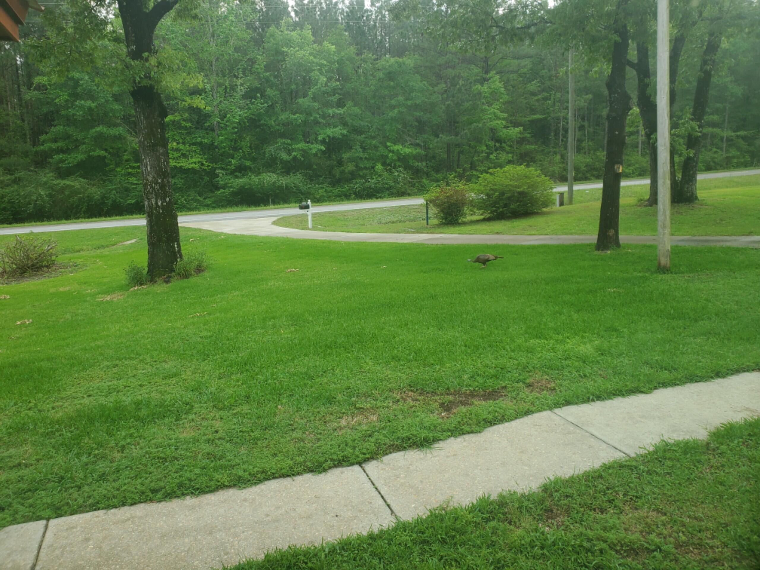 Four Flags Estates unrecorded S/D - Residential