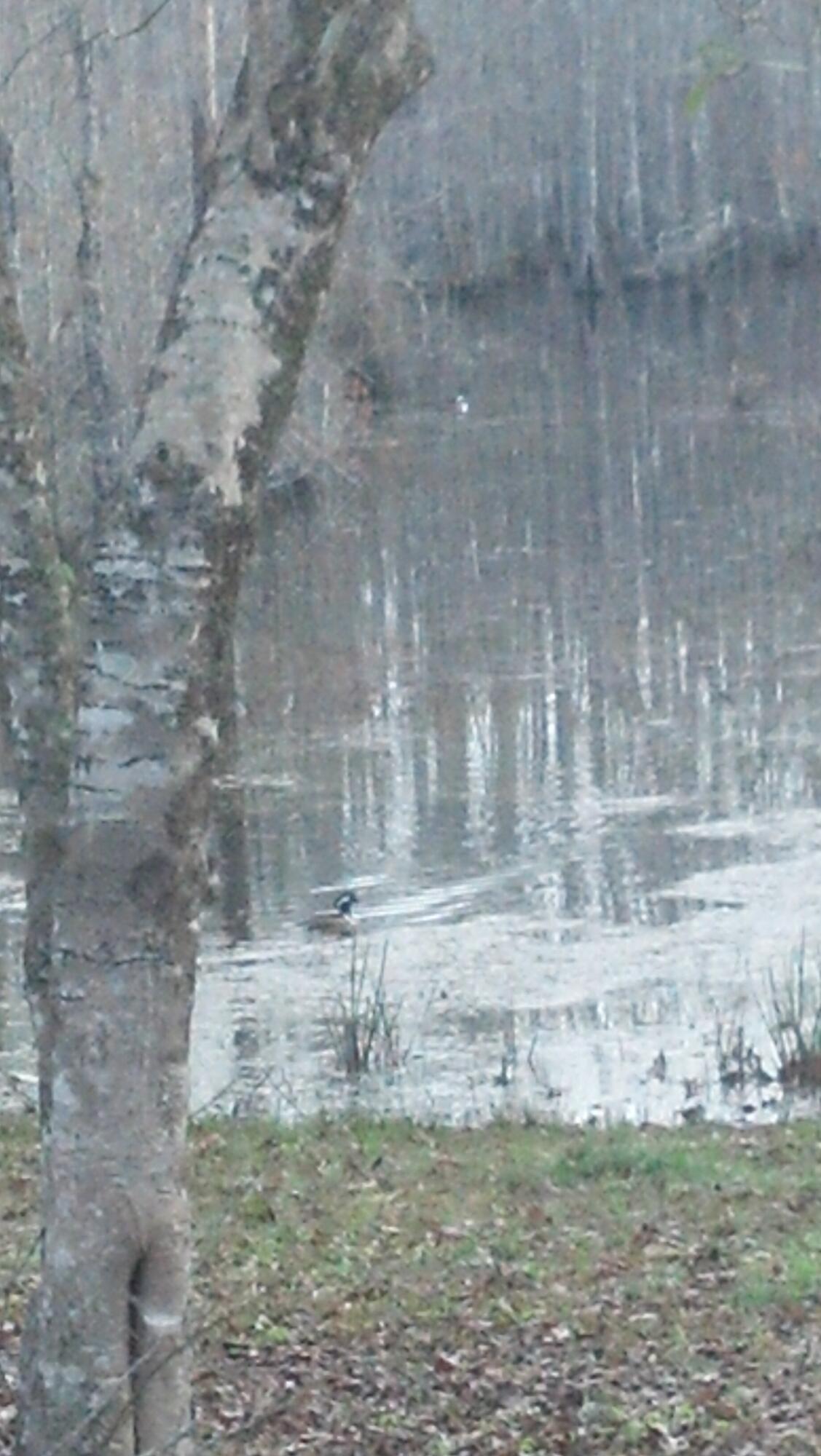 Four Flags Estates unrecorded S/D - Residential