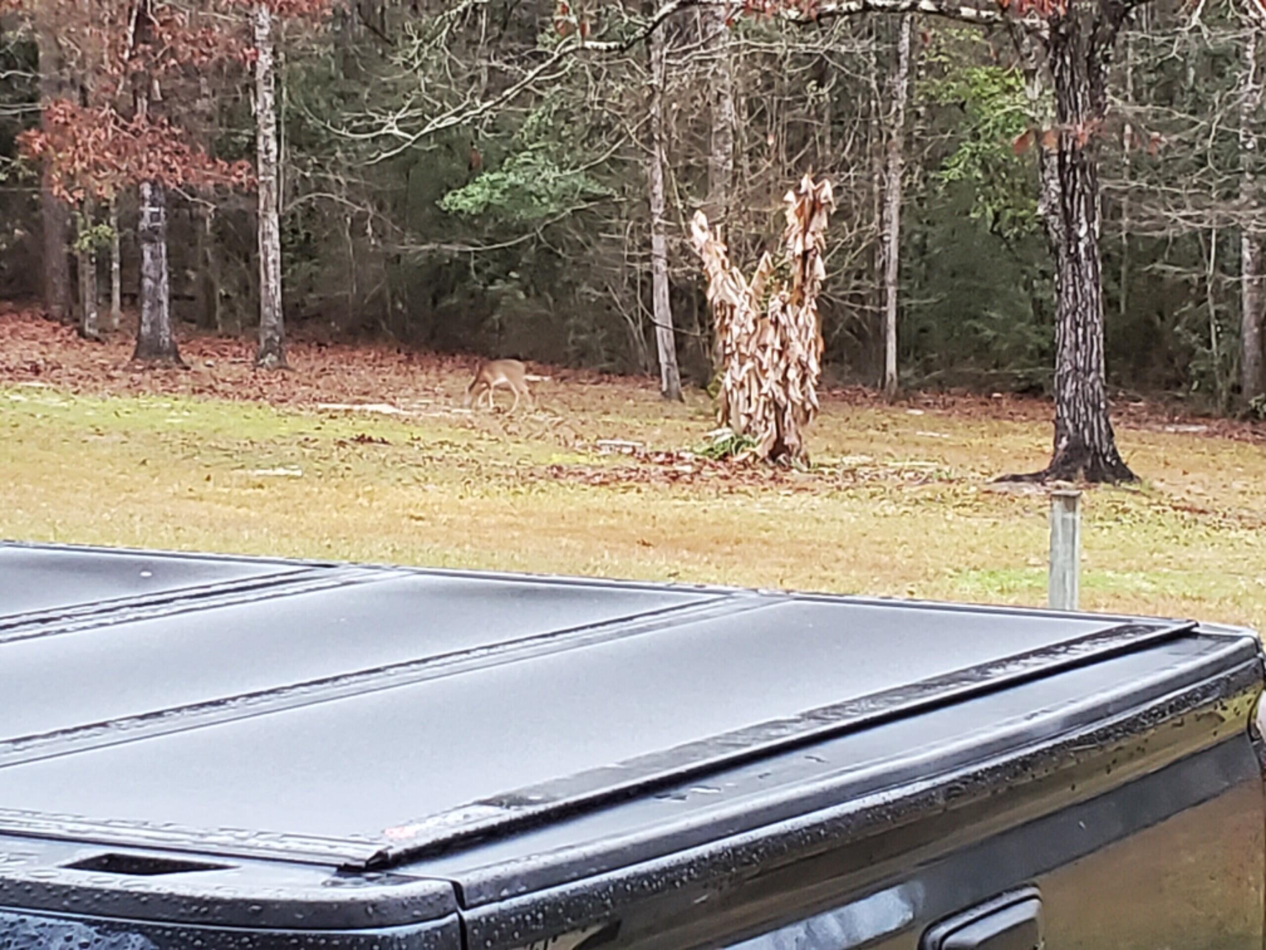 Four Flags Estates unrecorded S/D - Residential