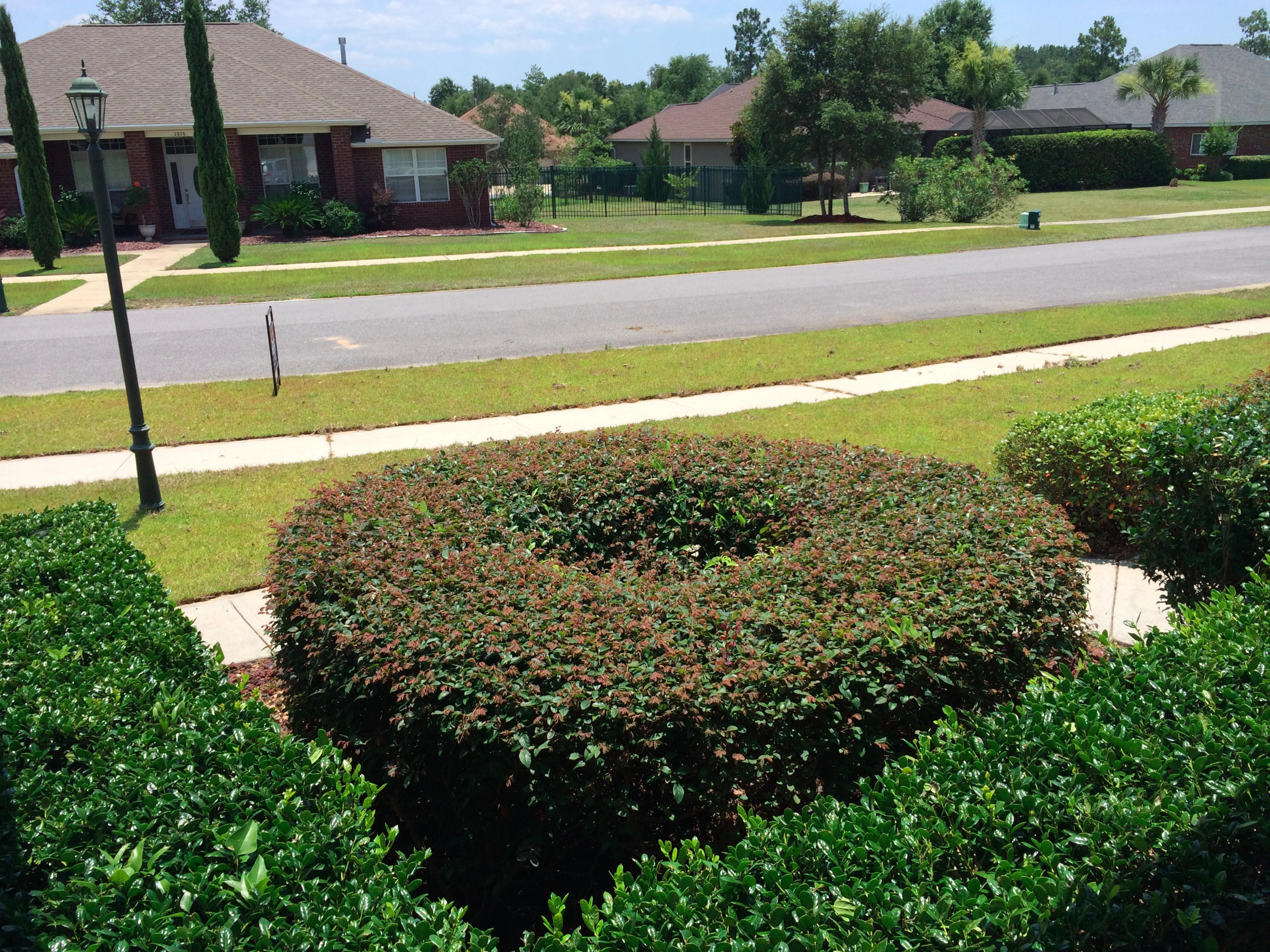 CHANAN ESTATES - Residential