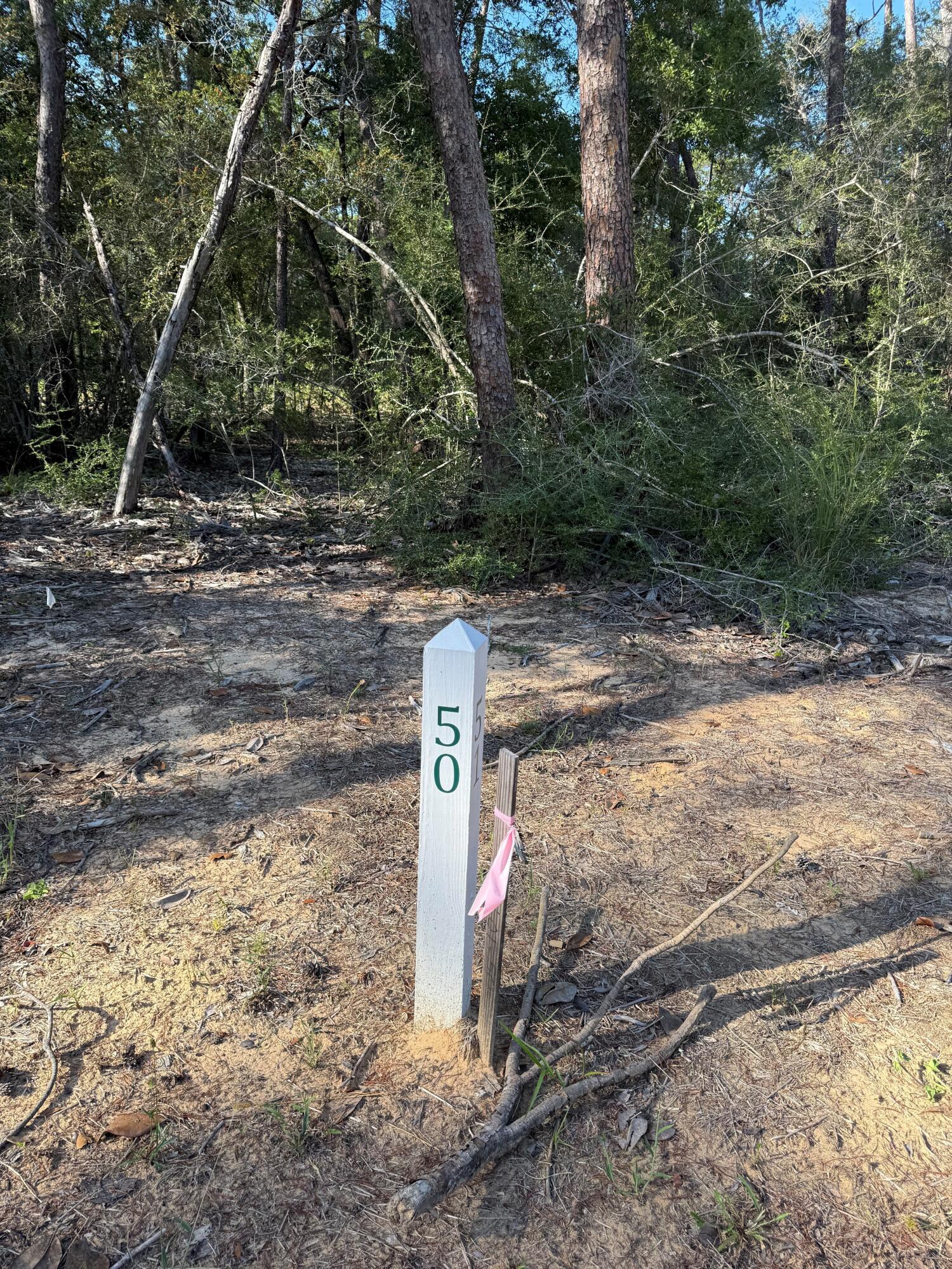 Deer Moss Creek - Land