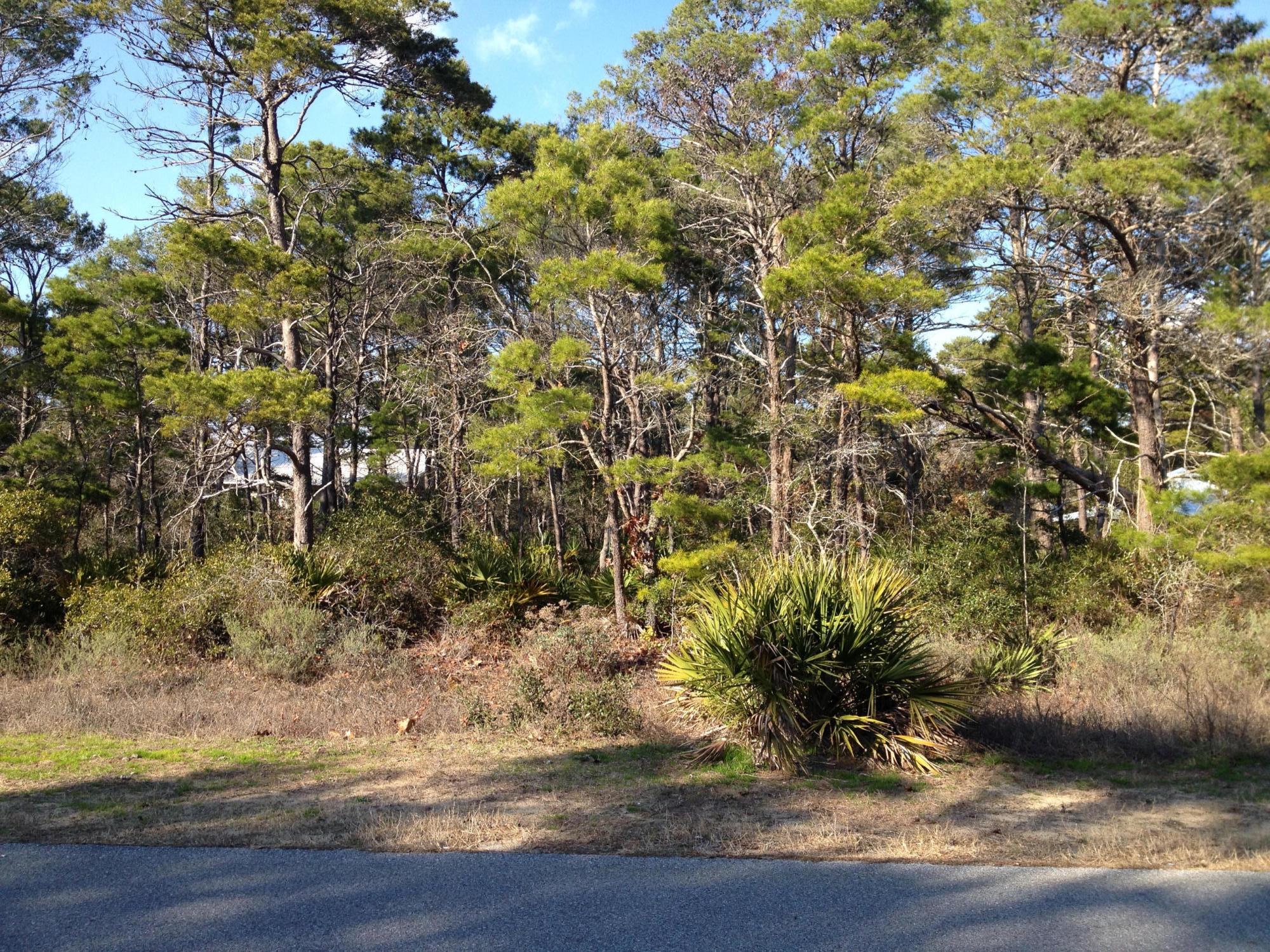 This perfectly level lot has a southern facing front elevation for all day sunlight in your new home. It is large enough to build a home, carriage house and pool! Gulfview Heights is an established neighborhood with cottage style beach homes. Enjoy the quiet peacefulness AND have easy access to the Gulfview Heights beach access with bath and picnic facilities, lifeguard and handicap ramp. Also, you have access right in the neighborhood to the Point Washington State Park and the hiking/biking and equestrian trail network leading through the park.No HOA fees and ''X'' flood plain which means no flood insurance is required.
