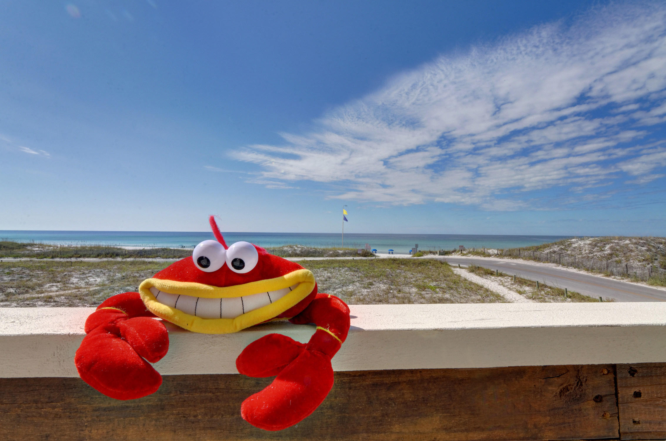 BEACHFRONT T/H - Residential