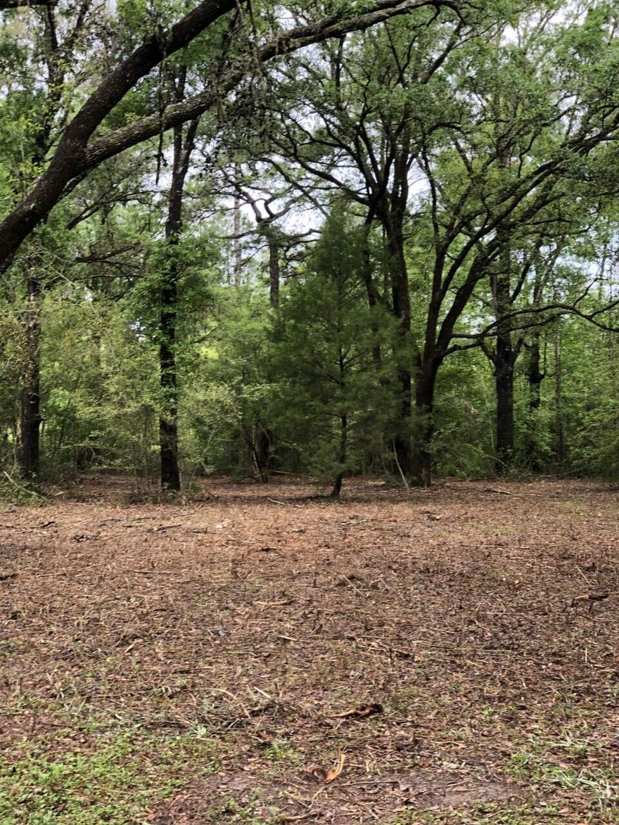 SELLER IS ACCEPTING BACK-UP OFFERS!!! Beautifully wooded 1/4 acre lot unrestricted property with large oak trees.  A lovely homesite for a mobile home or building your dream home..No HOA. Flood Zone X and Walton Co GIS shows No Wetlands.It is approx. 15 mins from Freeport.  Also, centrally located between Destin and Panama City FL in close proximity to Morrison Springs, (2) boat ramps providing easy access to Choctawhatchee Bay via Black Creek and only 20 mins to Grayton State Park in Santa Rosa Beach.Information contained within this listing is deemed to be accurate but is not guaranteed. Buyer to verify.
