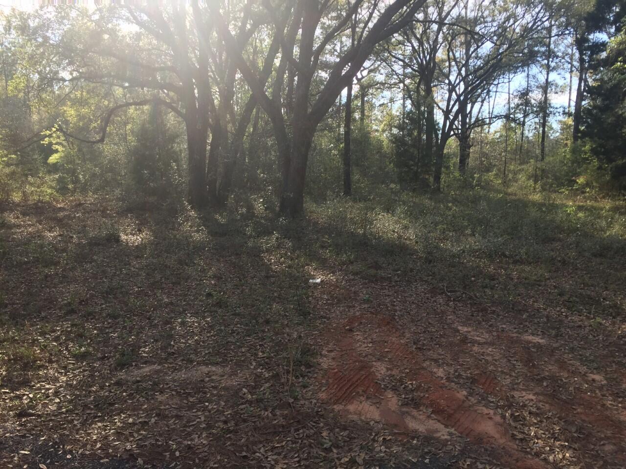 UNRECORDED SUBDIVISION - Land