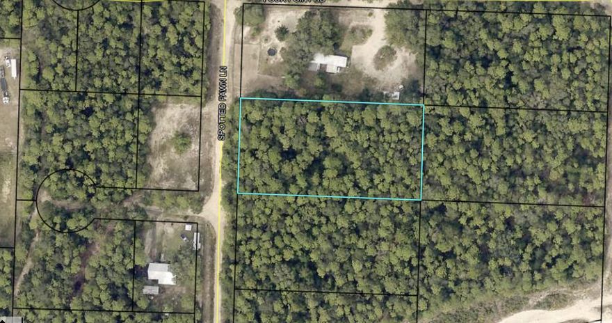 Great lot in the quiet country but still close to town and I-10.  Privacy to live the way you want, clear the land and make your homestead, add a mini farm and even include your favorite animals.