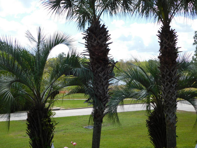 TIMBERLINE ESTATES - Residential