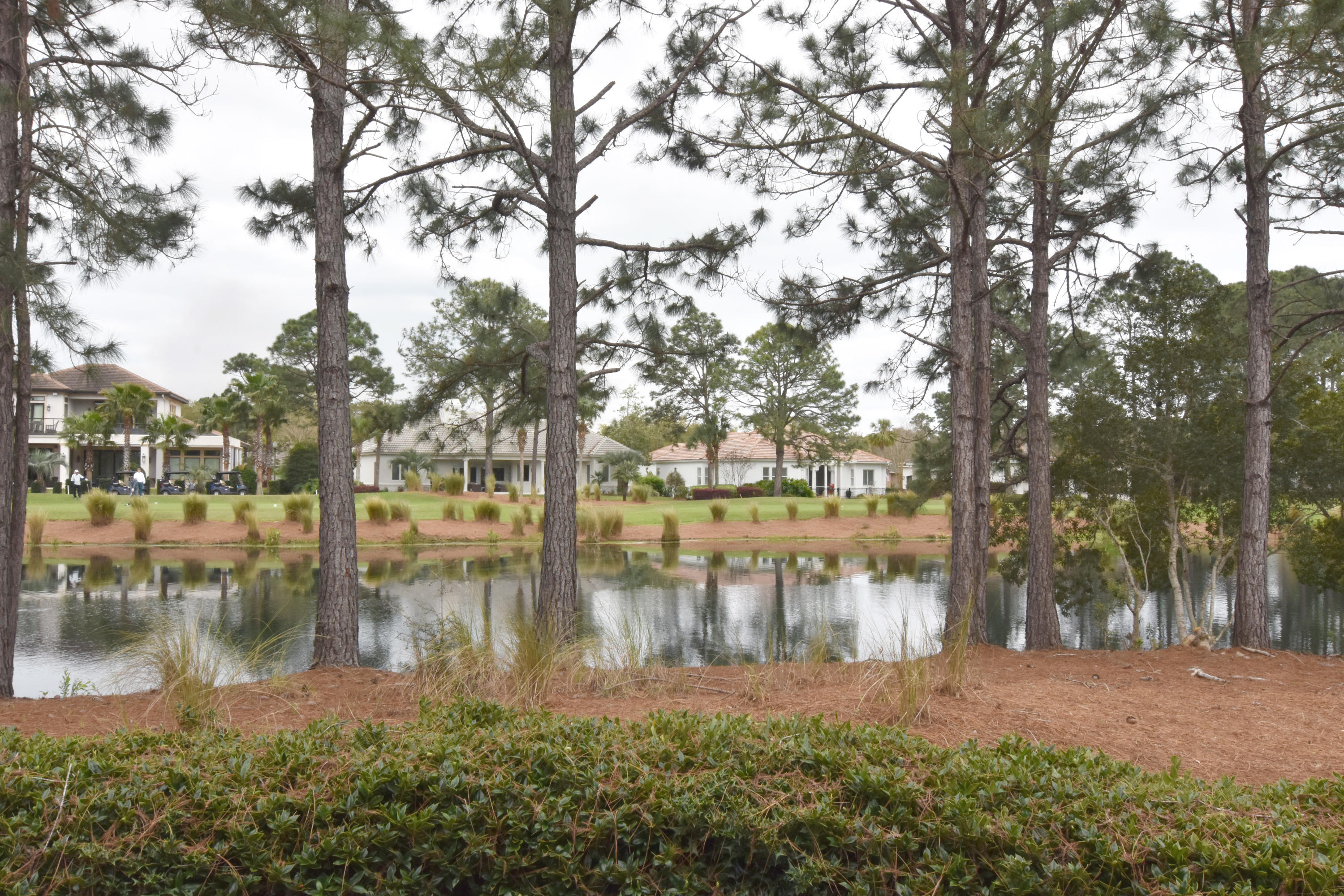 LAUREL GROVE - Residential