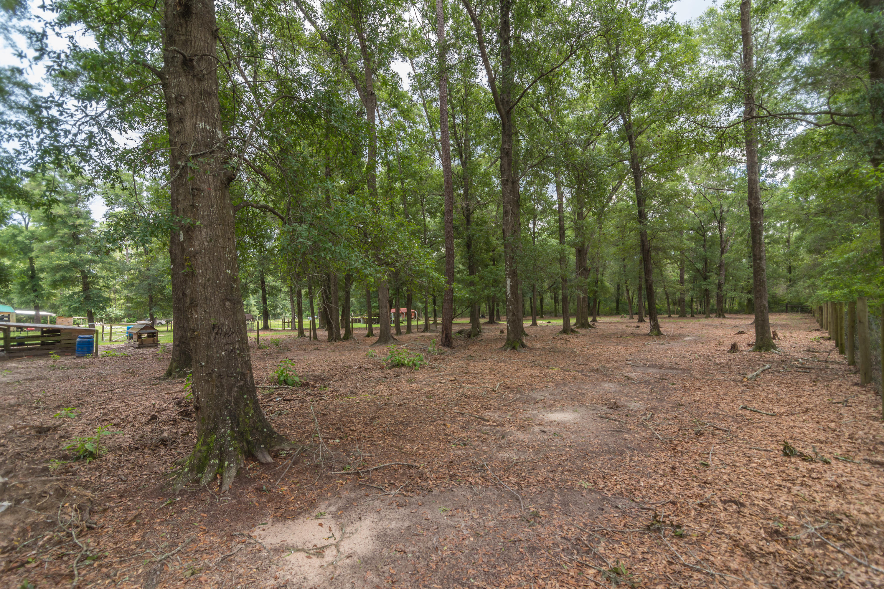 North Supergroup - Farm