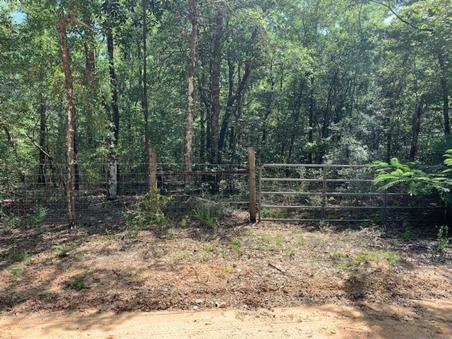 This is a wonderful lot with a plethora of large trees. The lot is shaped like a triangle but would be a great spot for a home or just a place to bring a recreational vehicle. There are numerous wildlife that roam the property.