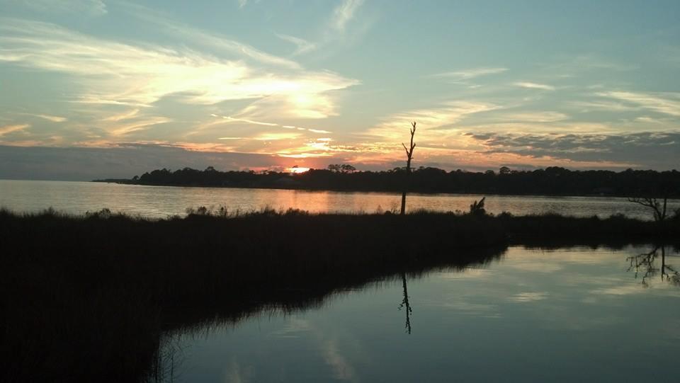 MARINA COVE VILLAGE PH 3 - Residential