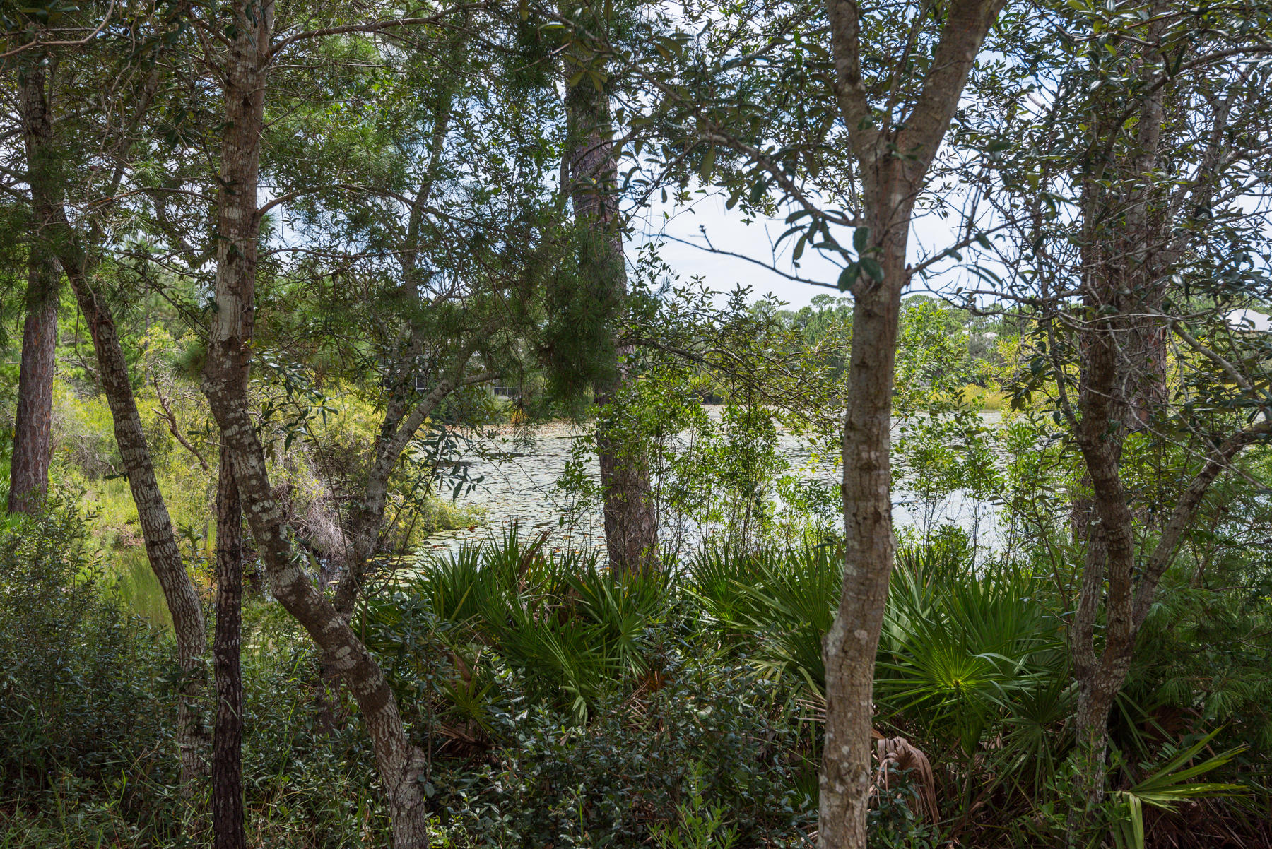 Bdovey Subdivision - Residential