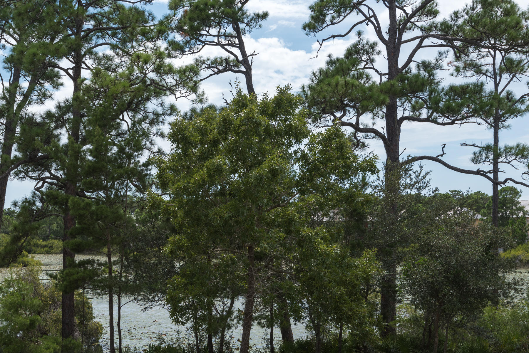 Bdovey Subdivision - Residential