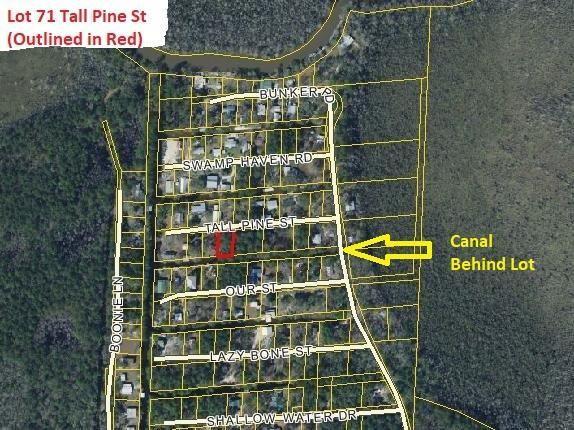 Bunker Creek Canal Lot! Hop in your boat and follow the canal to the Choctawhatchee River and then follow it to the Choctawhatchee Bay! It is in fact a private fishing community, if you like to fish! This lot can be used for an investment, or to build a home and live full time! This area is well kept with nice families and very welcoming!