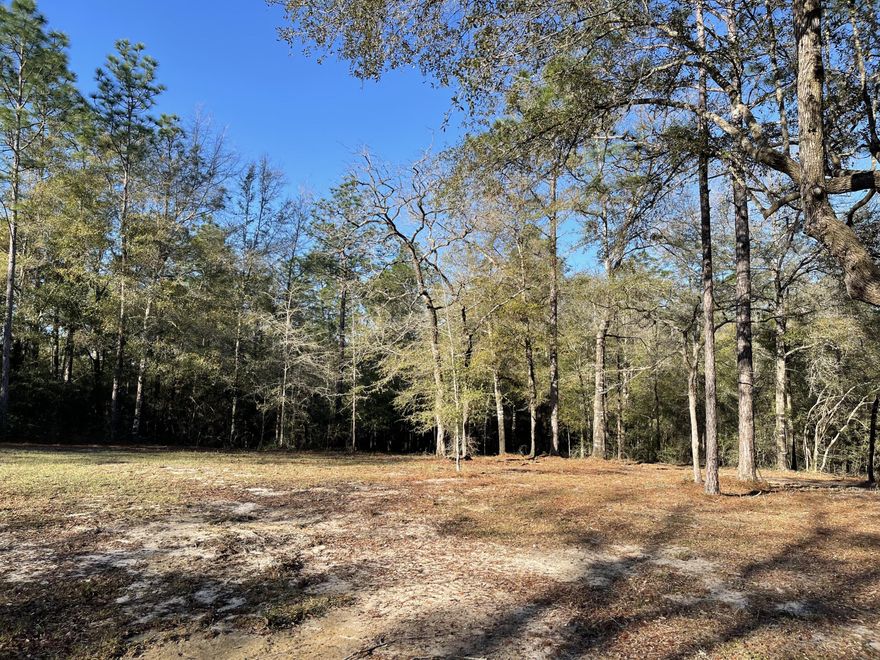 5 beautiful acres ready for your future home! 10'x20' metal shed, power, deep well, and septic on property at the end of a paved road just minutes from central Crestview! For the hunter's out there- don't miss the hunting blind and food plot! Buyer's to verify all information deemed important- including property lines and acreage.