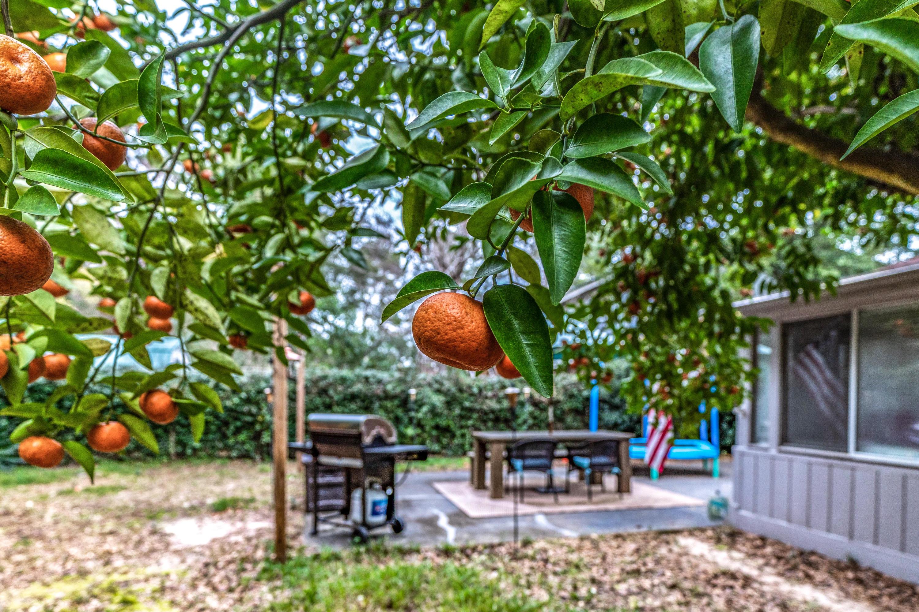 BLUEWATER BAY VILLAGE 1A - Residential