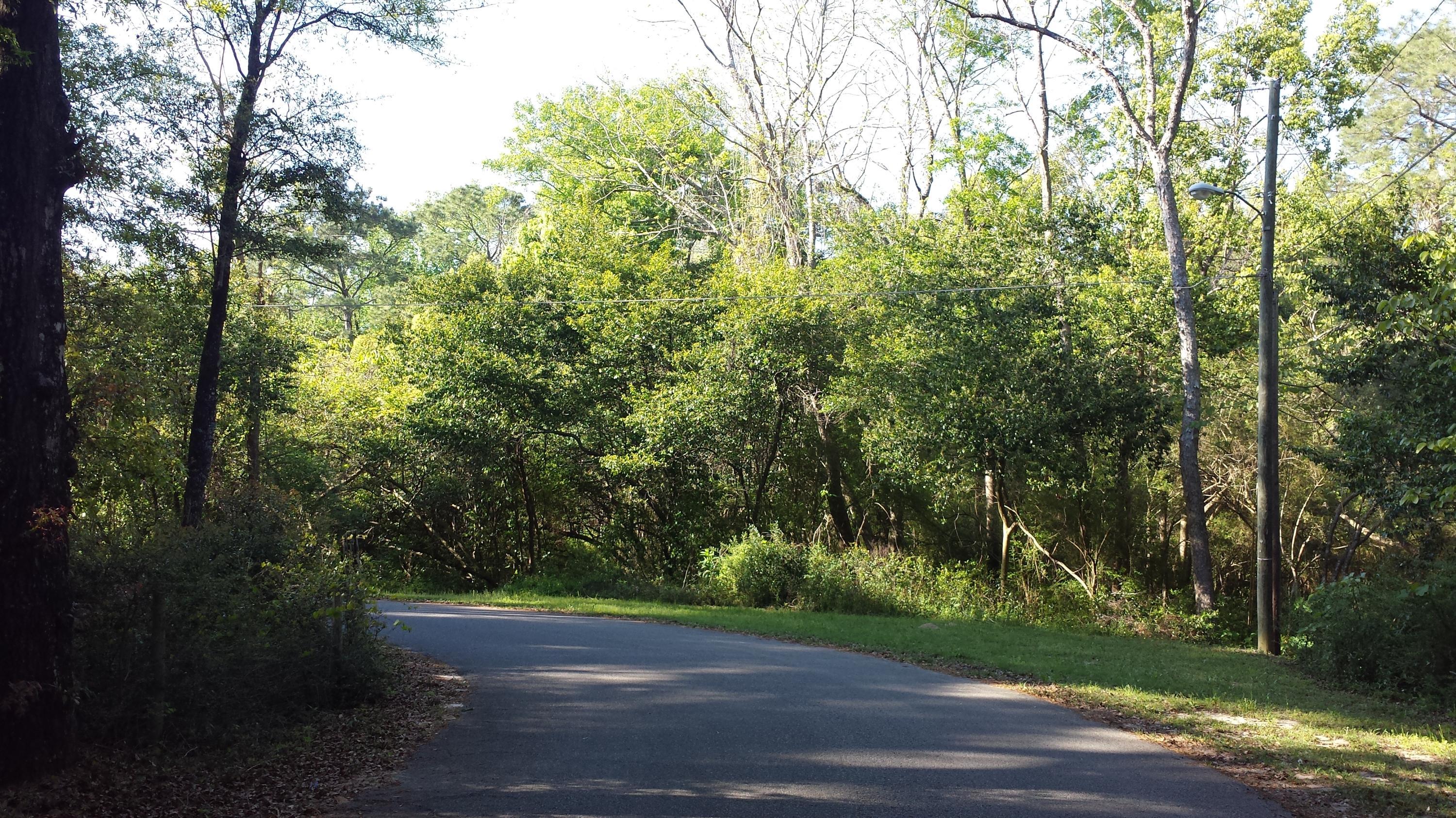 This beautiful piece of property is inside the city limits and is located on one of the prettiest streets in DeFuniak! With magnolias, pines, and oaks, this property would be perfect for your dream home!