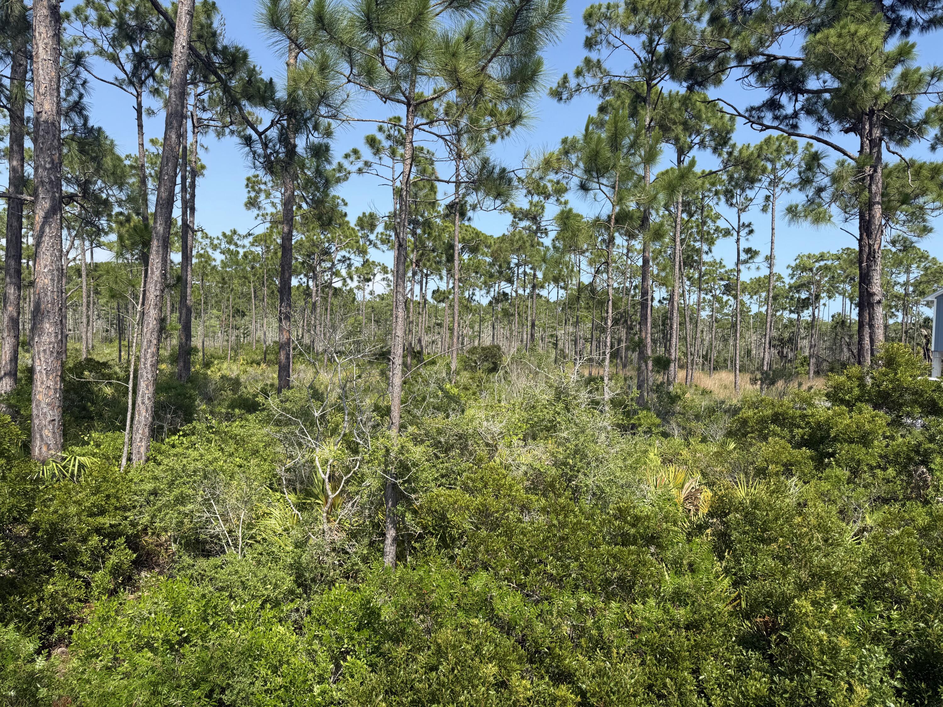 Rare oversized RV compliant lot near Cape San Blas with an unobstructed bay view that will insure beautiful year round sunsets. This is a larger than normal 1/2 acre lot that has 100' of width on SR 30A and is 213' deep. No back door neighbors other than wild life as this lot borders thousands of acres that is St Joseph Bay Buffer Preserve. Centrally located between Cape San Blas and Port St Joe for easy access for whatever the day brings. Some dimensions were obtained from the Gulf County property Appraiser's website. Verify if important.