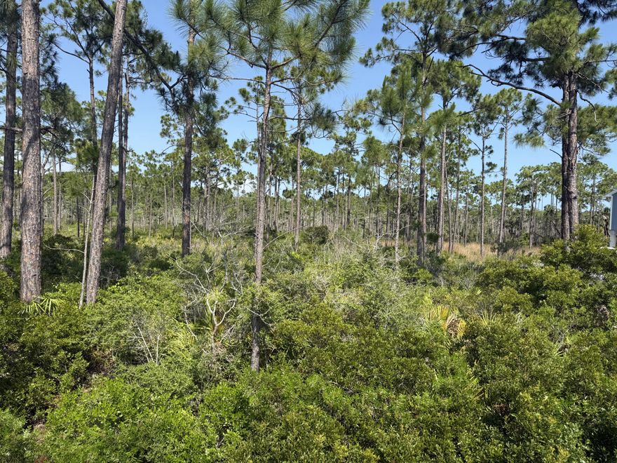 Rare oversized RV compliant lot near Cape San Blas with an unobstructed bay view that will insure beautiful year round sunsets. This is a larger than normal 1/2 acre lot that has 100' of width on SR 30A and is 213' deep. No back door neighbors other than wild life as this lot borders thousands of acres that is St Joseph Bay Buffer Preserve. Centrally located between Cape San Blas and Port St Joe for easy access for whatever the day brings. Some dimensions were obtained from the Gulf County property Appraiser's website. Verify if important.