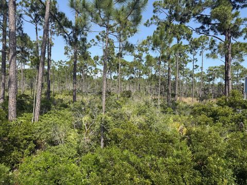 Lot 6 SR 30-A Port St. Joe FL 32456