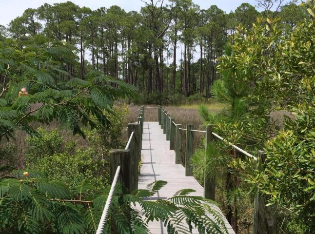 CESSNA LANDING - Land