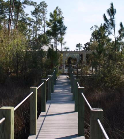 CESSNA LANDING - Land