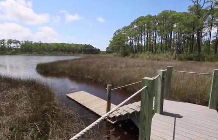CESSNA LANDING - Land