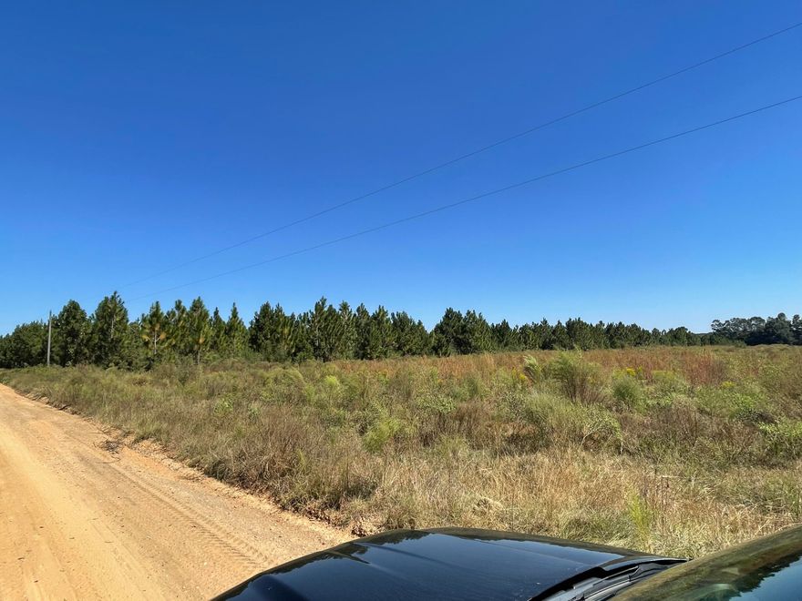 If you are looking for Solitude, a place to get away from the hustle and bustle of life, or the perfect hunting spot, THIS IS IT! This 20+ Acres boasts planted pines that can be harvested or cleared for your dream home. You are 45 minutes from the sugar sand beaches of Walton County or 45 minutes to Dothan, AL. This property is the perfect location. Call today to schedule your viewing.Buyer to verify measurements.