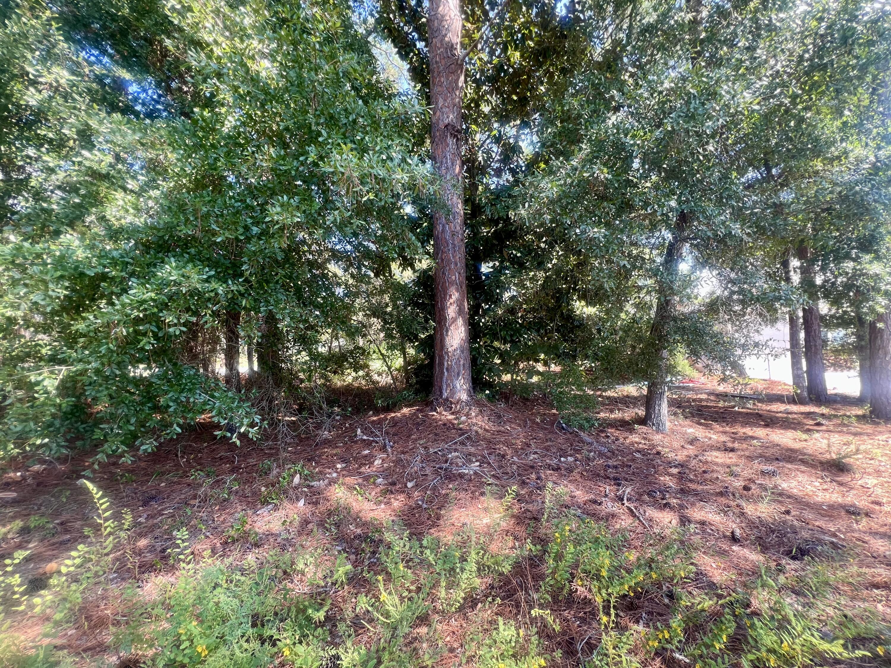 Prime Vacant Lot on Buck RoadThis is your chance to own one of the last remaining lots on Buck Road! Nestled in a desirable location, the southwest corner of the lot opens directly to a scenic canal with approximately 20 feet of waterfront access.With no HOA, this property provides the perfect opportunity to design and build your dream home. Conveniently situated off Mack Bayou Road, you'll be just minutes away from premier entertainment, shopping, dining, and the stunning white sand beaches of South Walton.Don't miss out on this rare opportunity to create your own slice of paradise!
