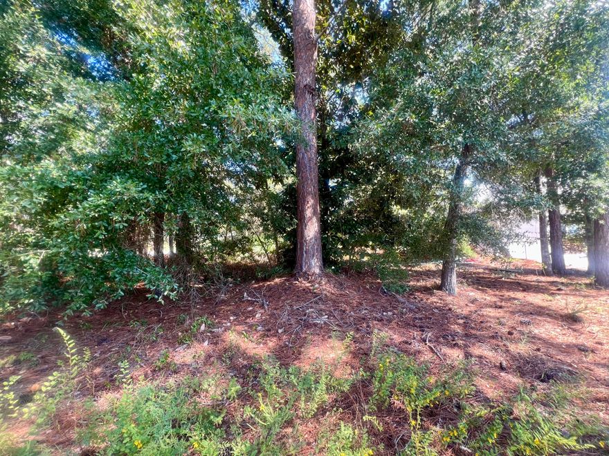 Prime Vacant Lot on Buck RoadThis is your chance to own one of the last remaining lots on Buck Road! Nestled in a desirable location, the southwest corner of the lot opens directly to a scenic canal with approximately 20 feet of waterfront access.With no HOA, this property provides the perfect opportunity to design and build your dream home. Conveniently situated off Mack Bayou Road, you'll be just minutes away from premier entertainment, shopping, dining, and the stunning white sand beaches of South Walton.Don't miss out on this rare opportunity to create your own slice of paradise!