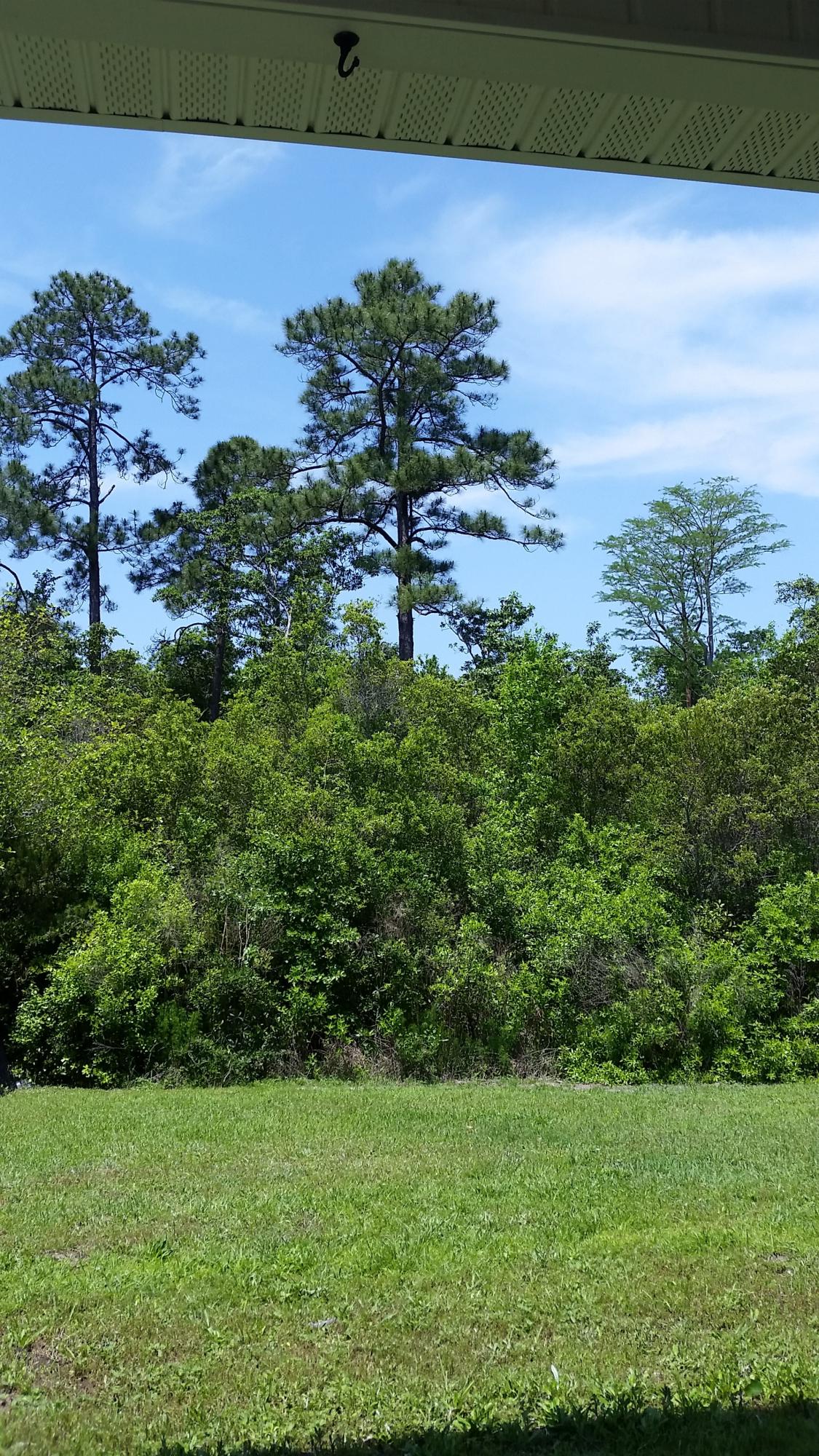 Promise Creek Lot 8 Blk C As Des In Or 2871 Pg 1866 - Residential