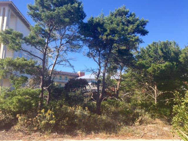 SEACREST BEACH - Land